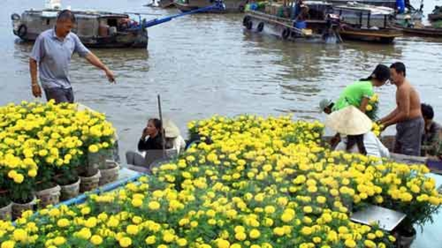 Can Tho to promote Cai Rang floating market