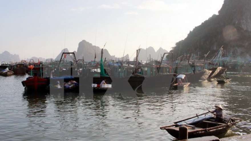 North, central Vietnam urged to brace for Storm Tokage