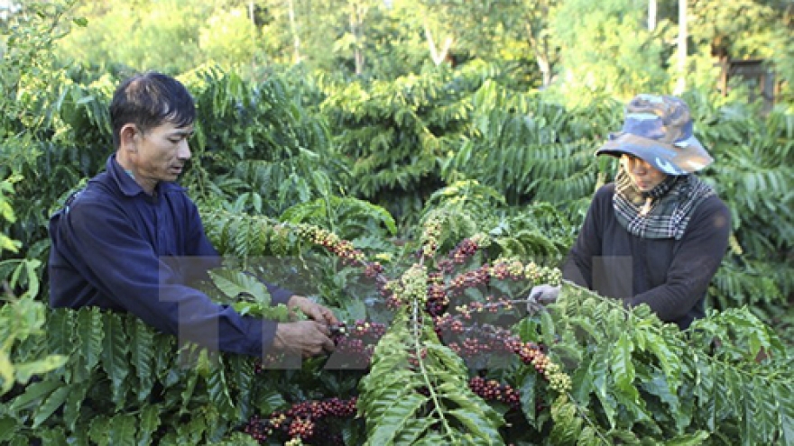 
        Agro-fishery-forestry exports may meet yearly target
                              