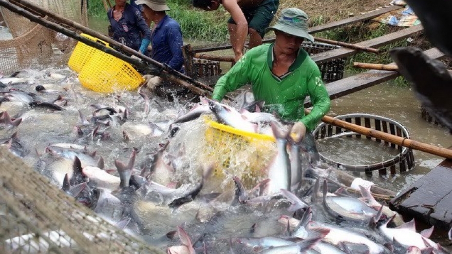 
        Aquatic export hits US$2.1 bln  in four months
                              