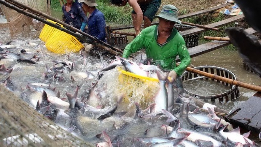 Aquatic export hits US$2.1 bln  in four months