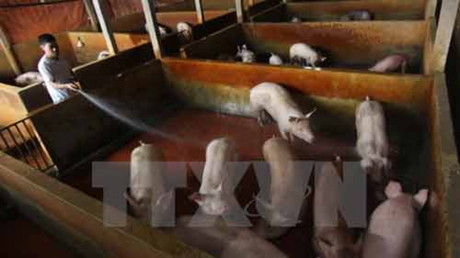 WB-funded livestock production zone opens in Dong Nai