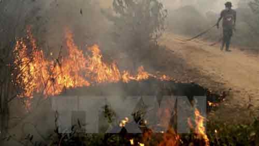 
        Indonesia pledges to tackle haze
                              