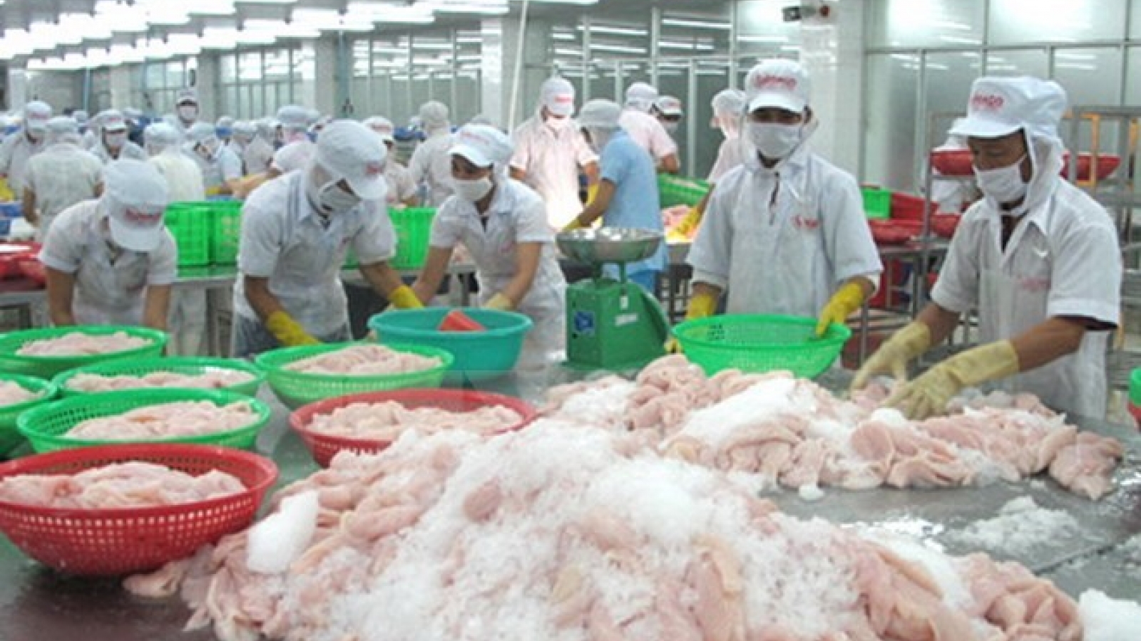 Modern processing, preserving technology ensures food safety: experts