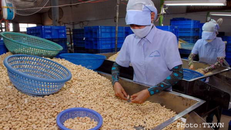 Vietnamese, Bulgarian firms look to the future