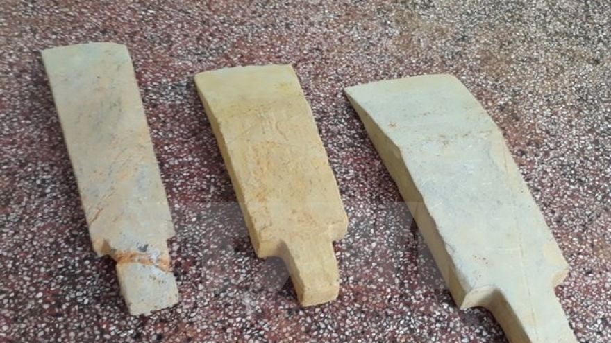 Believed-to-be prehistoric items unearthed in Binh Phuoc