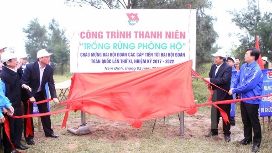 Young people called to join in planting trees
