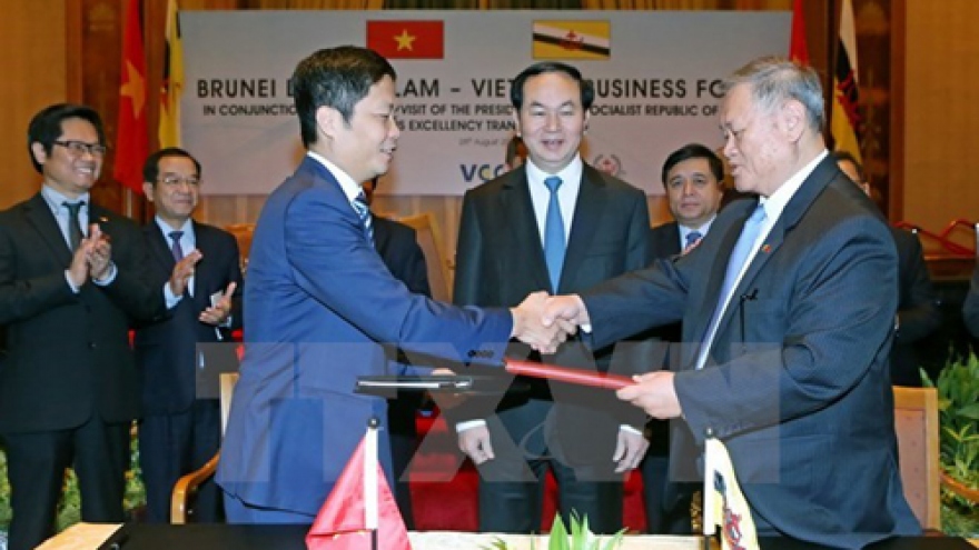 President encourages Brunei firms to invest in Vietnam