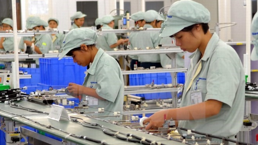 Japanese group seeks cooperation in HCM City