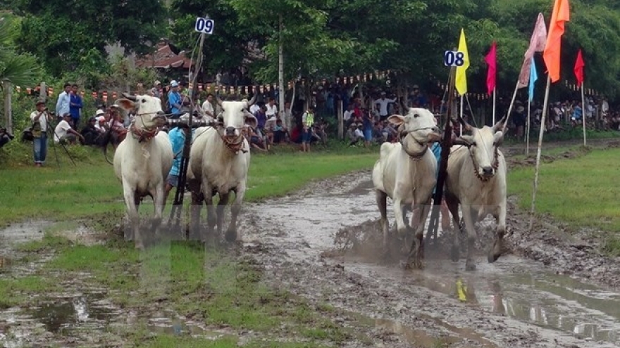 An Giang Tourism Month kicks off