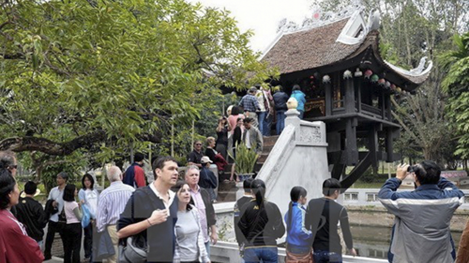 Vietnam welcomes 7.94 million foreign arrivals in 2015