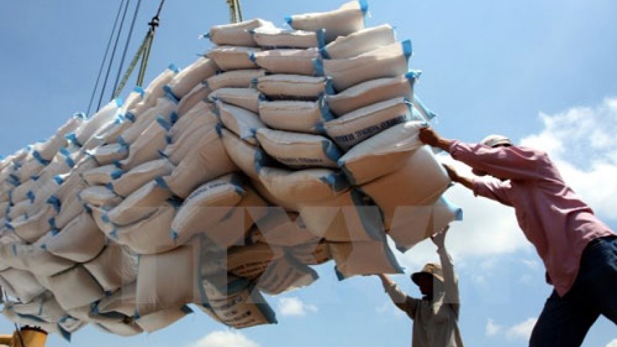 Rice market gains momentum