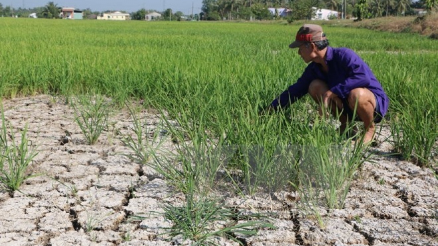 Adaptation to saltwater intrusion critical to Mekong Delta