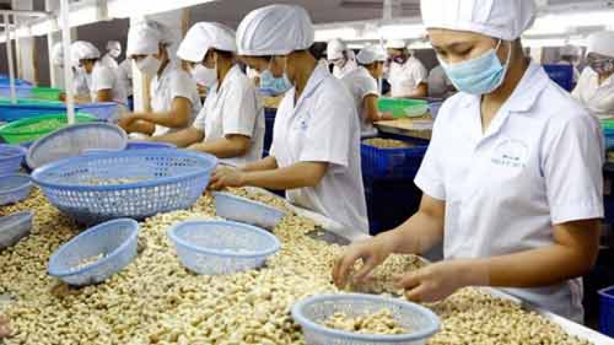 Binh Phuoc, Ivory Coast cooperate in cashew sector