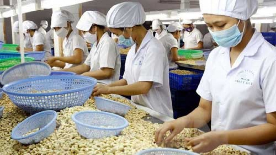 Japan’s Wakayama interested in farm production with Vietnam