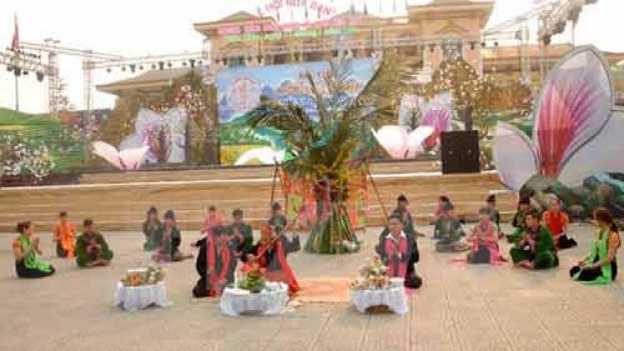 Laos, Thailand to join flower festival in Dien Bien