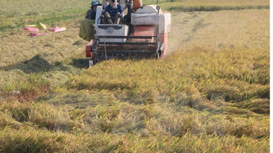 Workshop looks to promote clean production in rice value chain