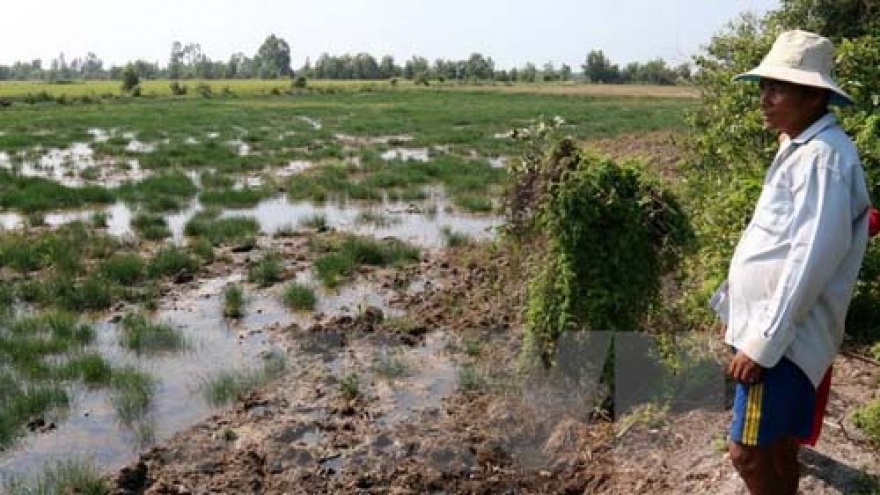Mekong Delta provinces tackle saltwater intrusion