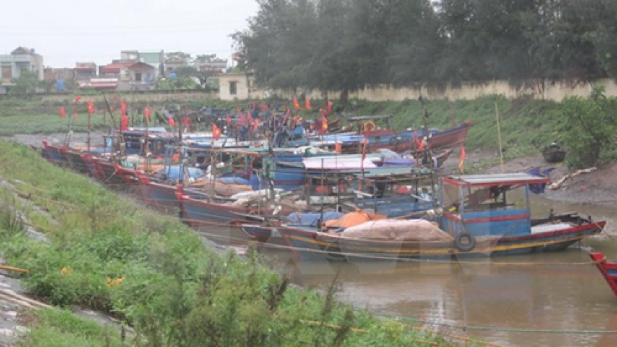 
        Storm Dianmu sweeps through northern mainland of Vietnam
                              