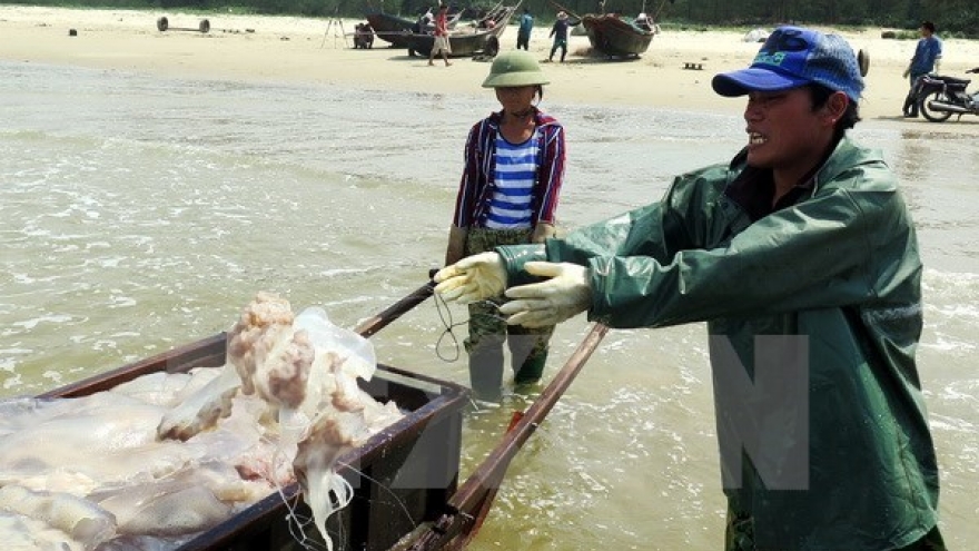 Concerted efforts exerted to bring back calm sea