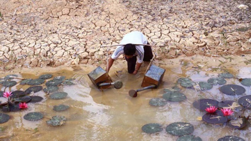 Ca Mau deals with drought, saltwater intrusion