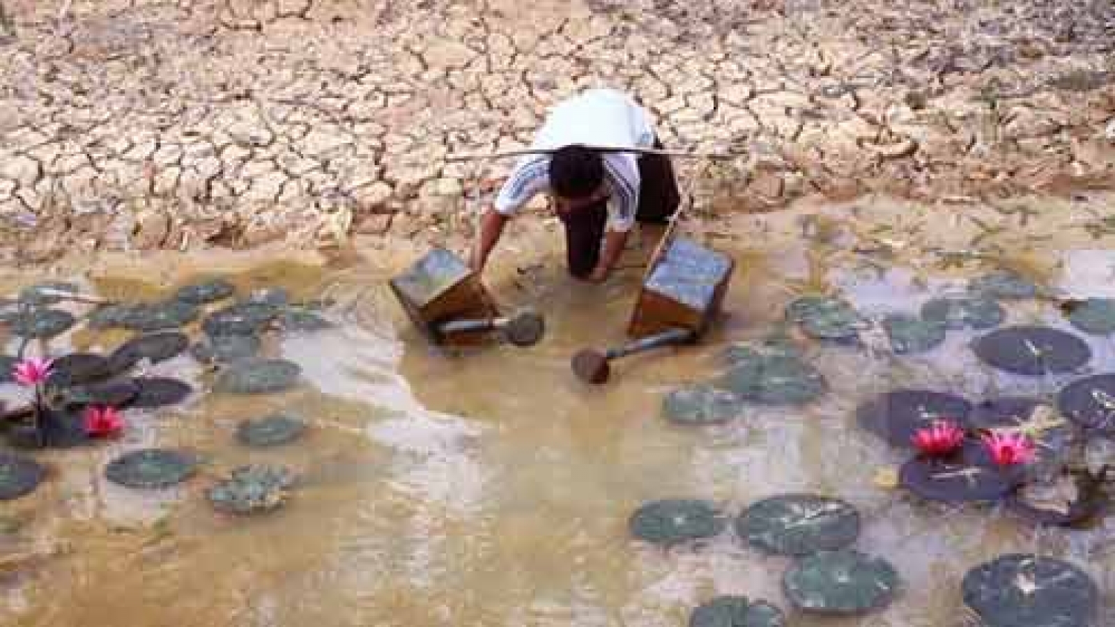 Ca Mau braces for saltwater intrusion, drought