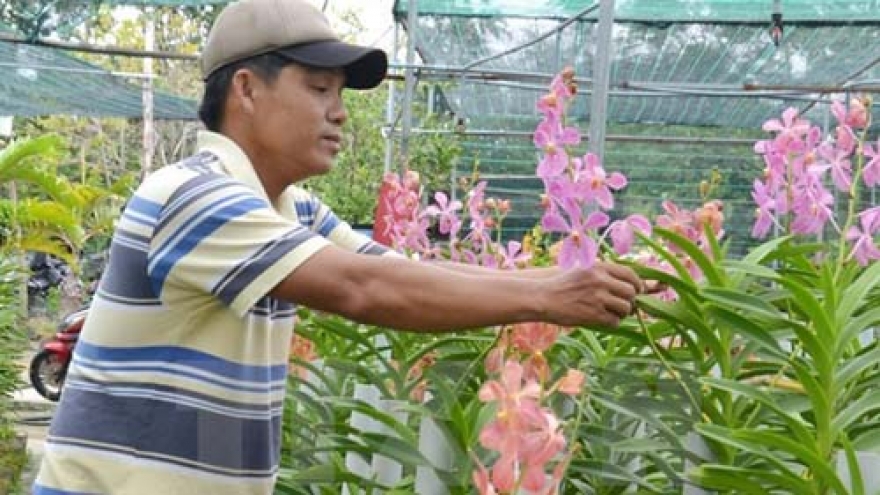 Int’l agency puts forth financial support for Vietnamese agriculture