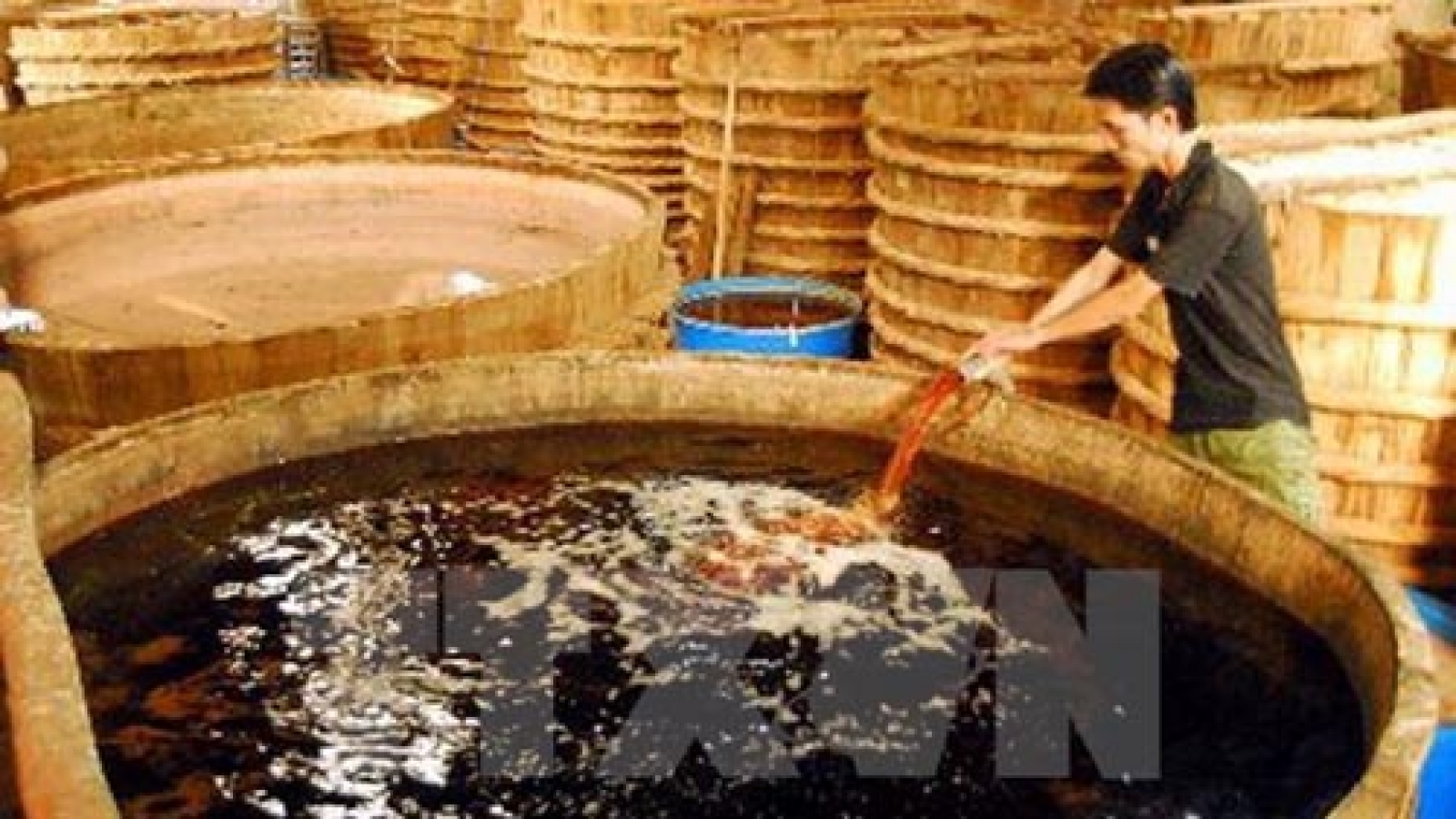 Health Ministry confirms all fish sauces safe