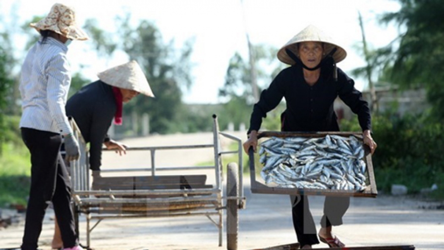 Central localities work on Formosa’s fish death compensation