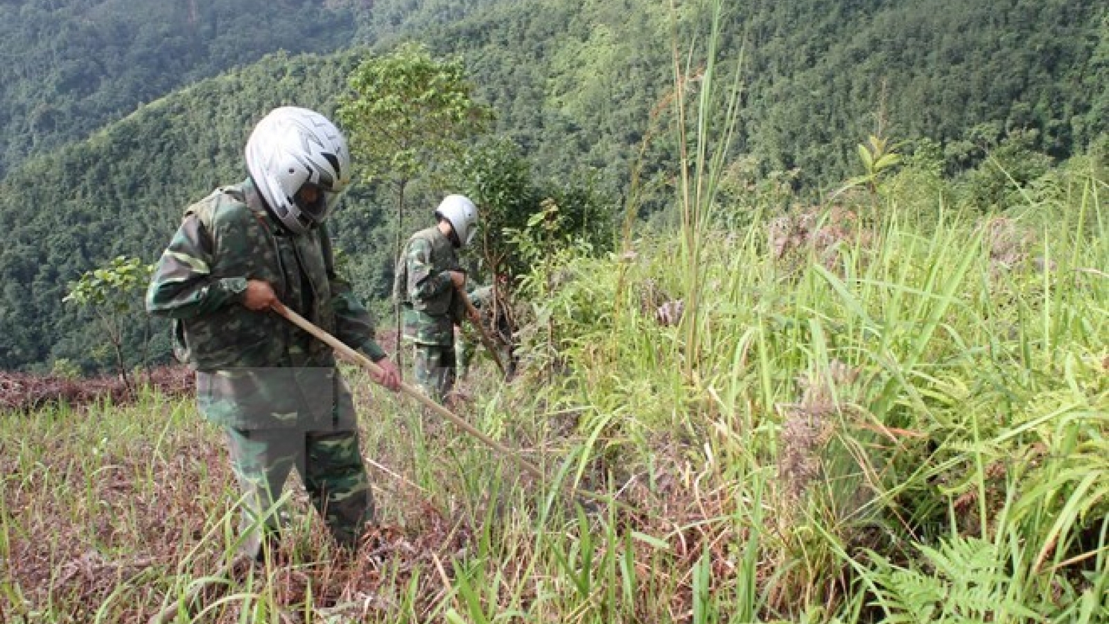 US veterans study post-war consequences in Vietnam