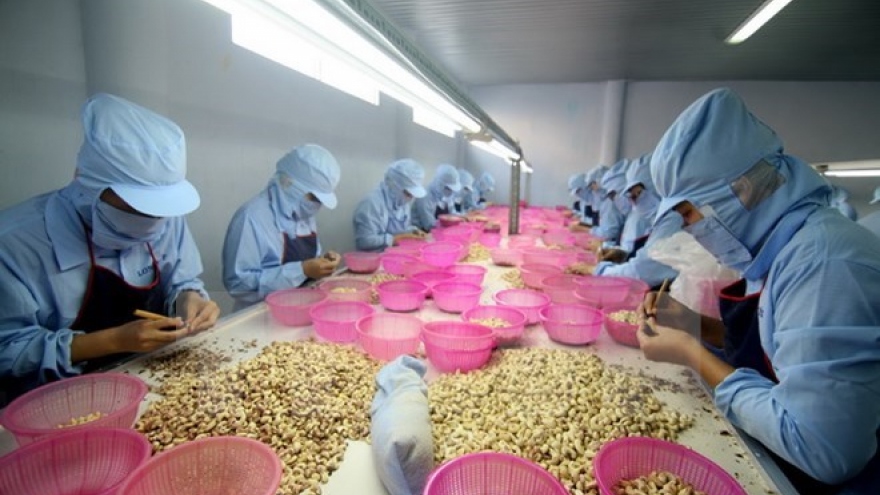 
        RCEP brings new hope for Vietnamese businesses
                              