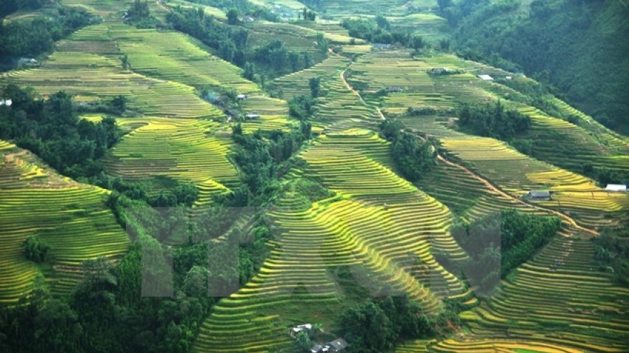 
        Homestay tourism in Sa Pa attracts holidaymakers
                              