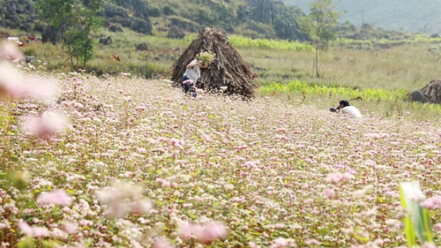 Dong Van Karst Plateau welcomes first foreign tourists in 2016