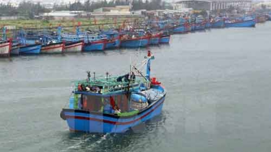 Quang Ngai fishermen equipped with ICOM devices