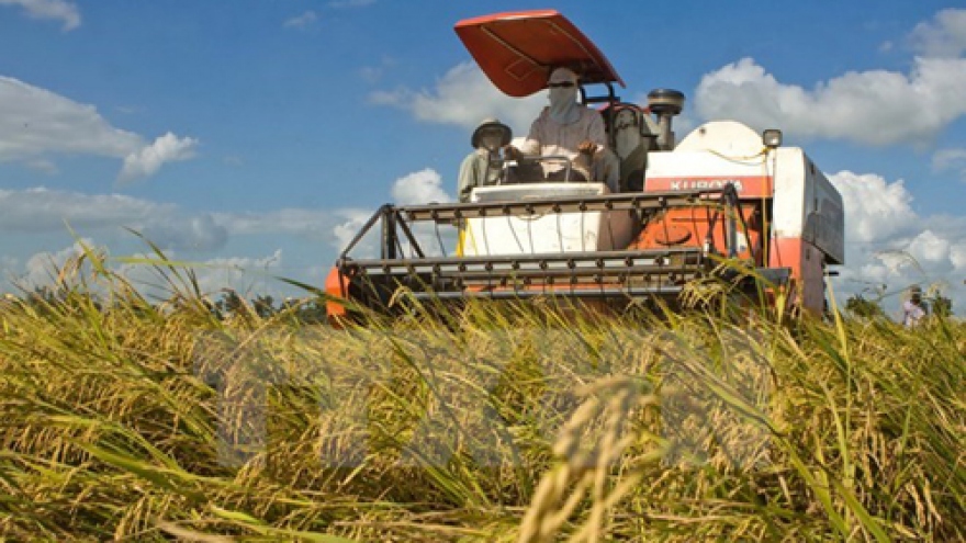 
        Japan to open rice processing firm in Yen Bai
                              
