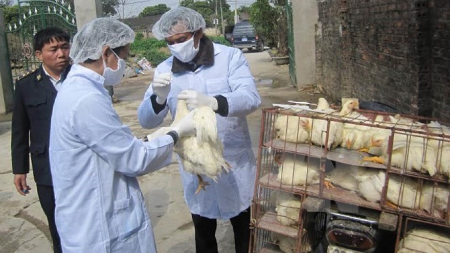 
        Localities warned of potential bird flu risks
                              