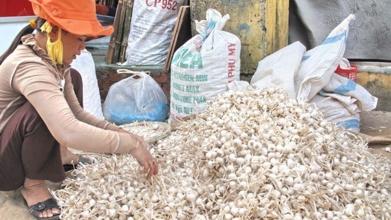 VN promotes inclusive growth for the sake of women