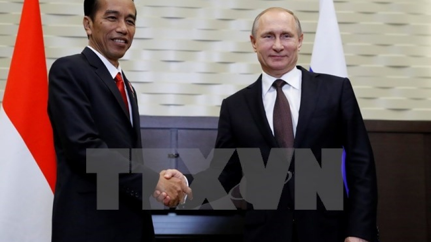 Indonesia, Russia boost bilateral cooperation