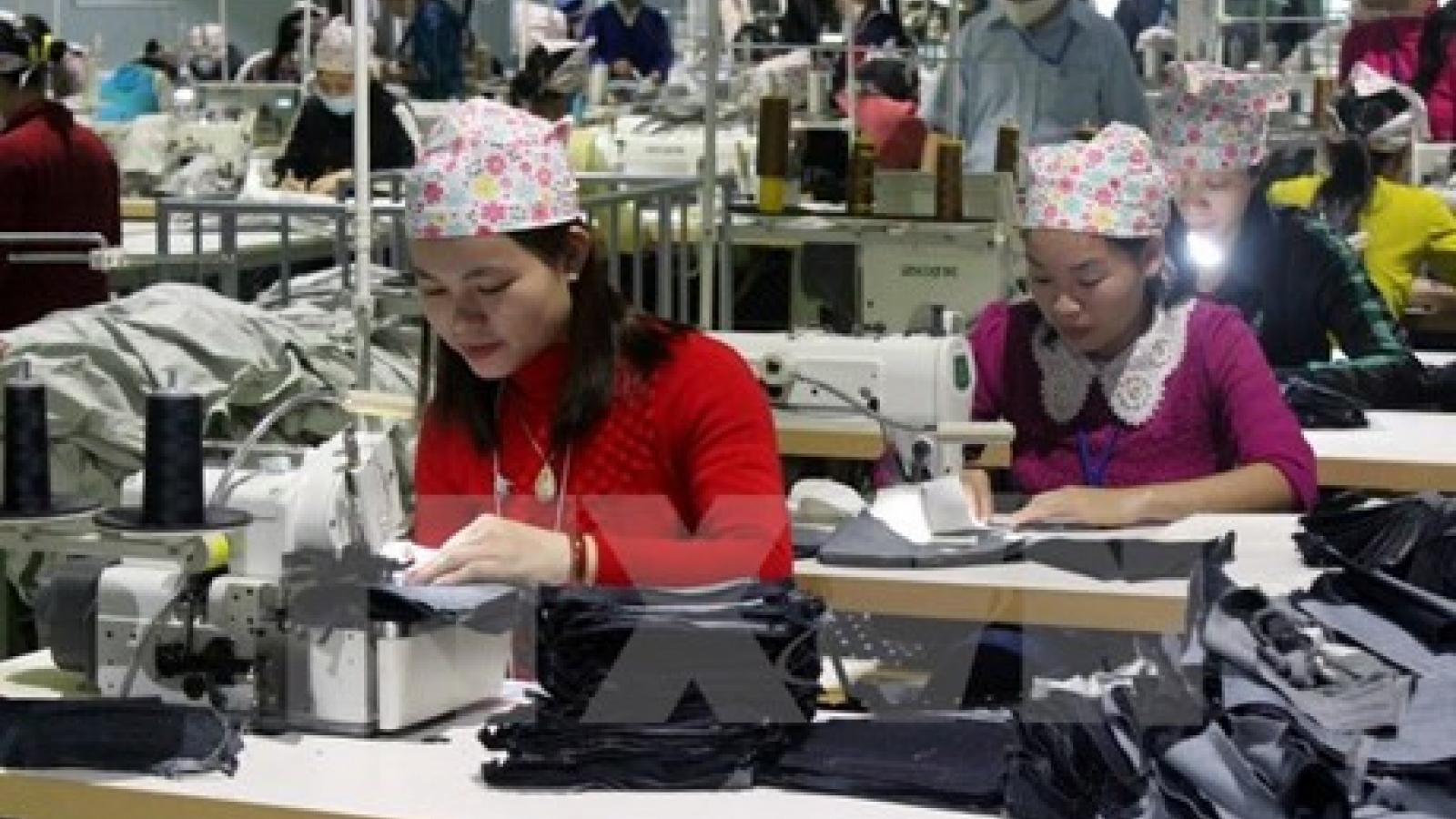Vietnam preparing for opportunities and challenges created by TPP