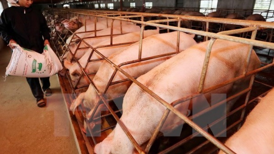 
        Canada funds food safety project in Vietnam
                              