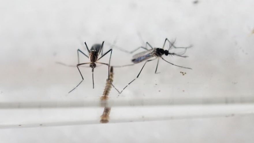 Vietnam readies to tackle Zika virus