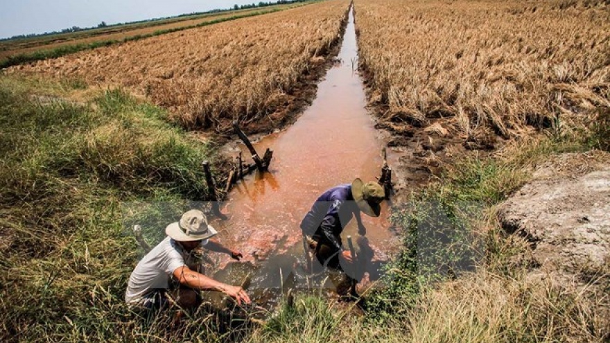 11 provinces announce drought, saltwater intrusion emergency