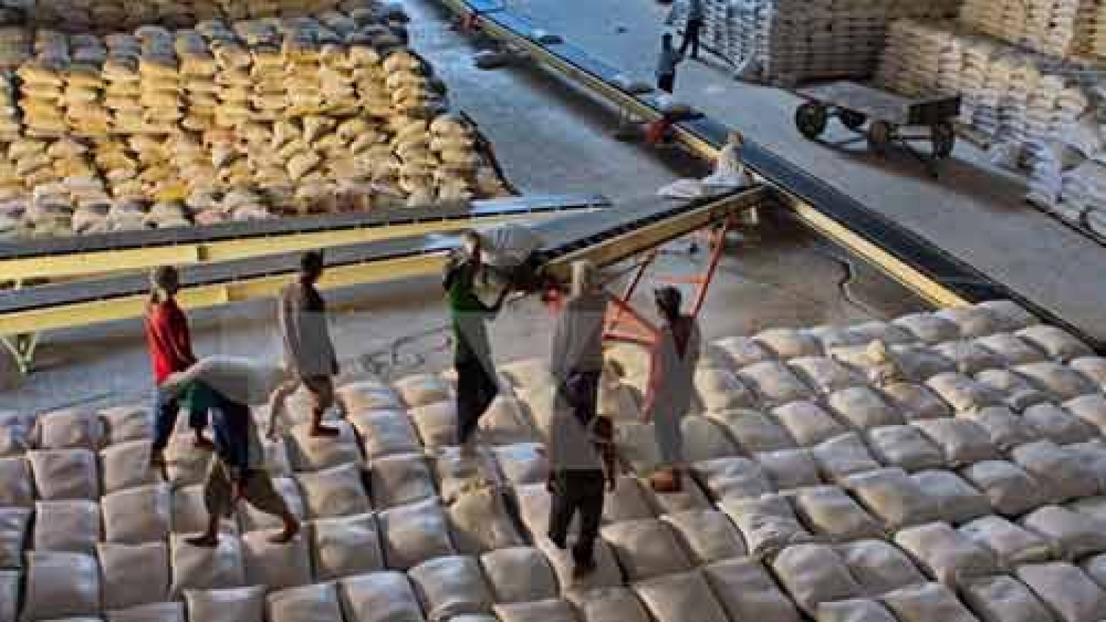 Trade promotion helps boost farm produce export