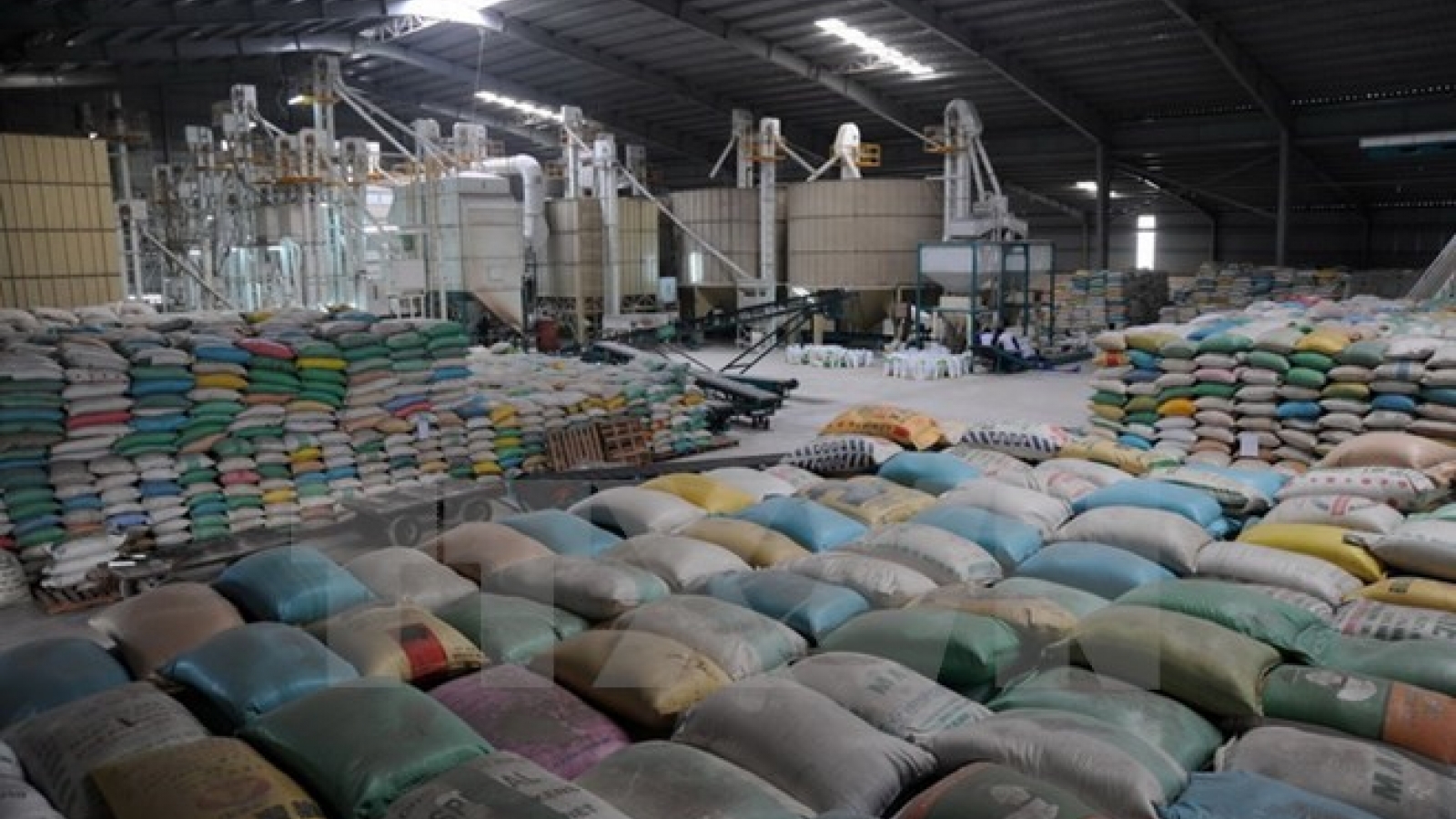 Rice exports in February rise two-fold from last year