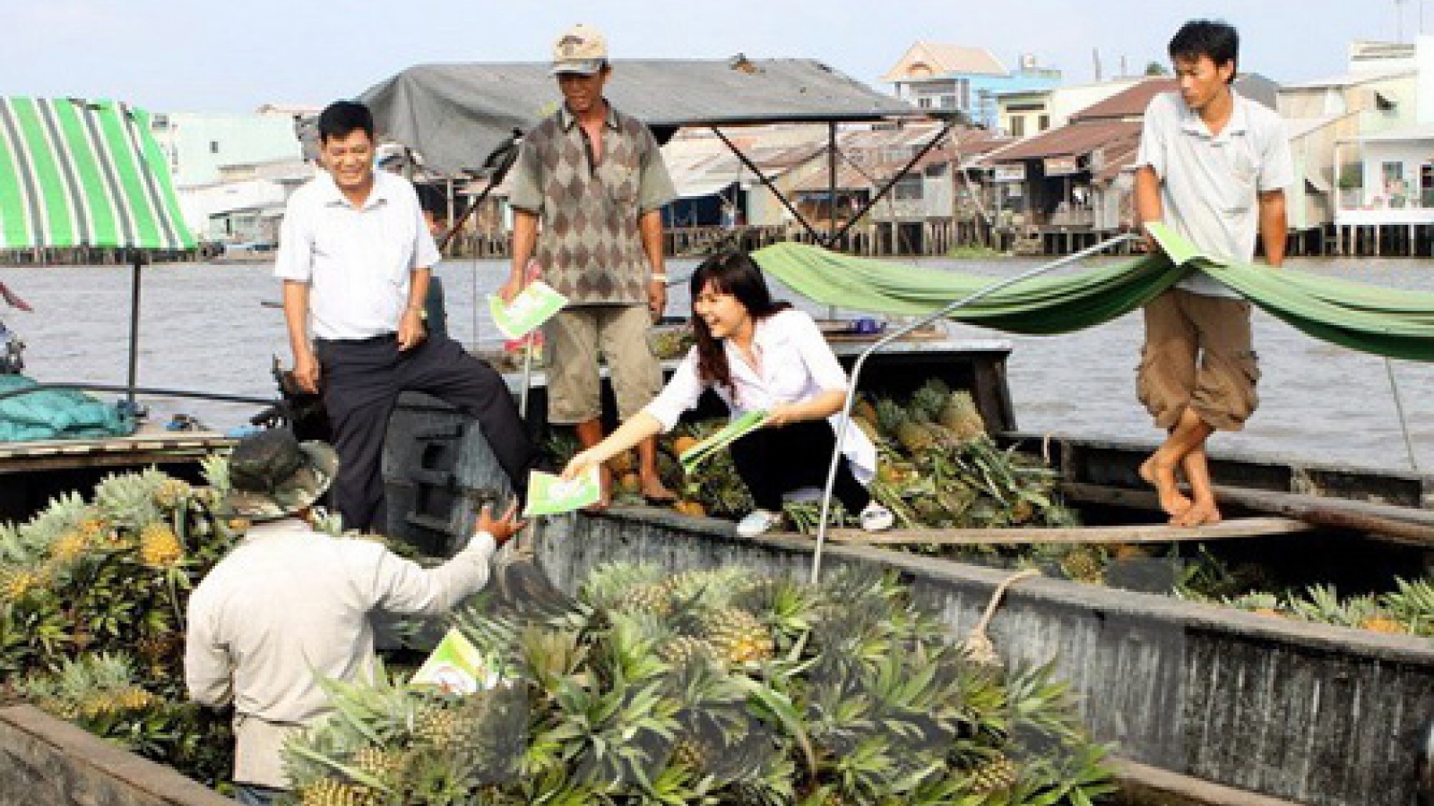 Binh Duong province declares communal-level Zika epidemic