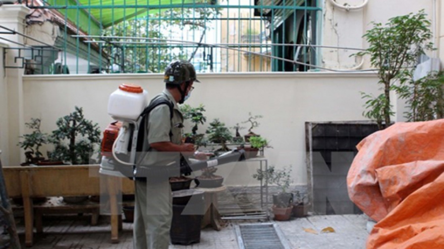 Zika on the rise in HCM City