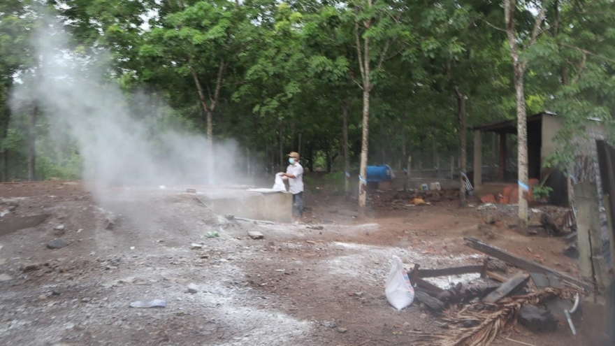 Binh Phuoc reports first outbreak of African swine fever 