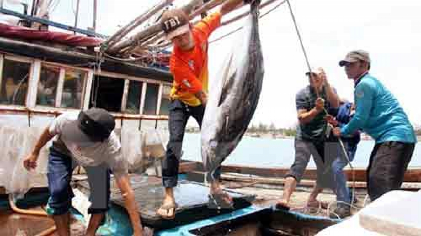 Vietnam, Thailand implement agreement on labour import-export