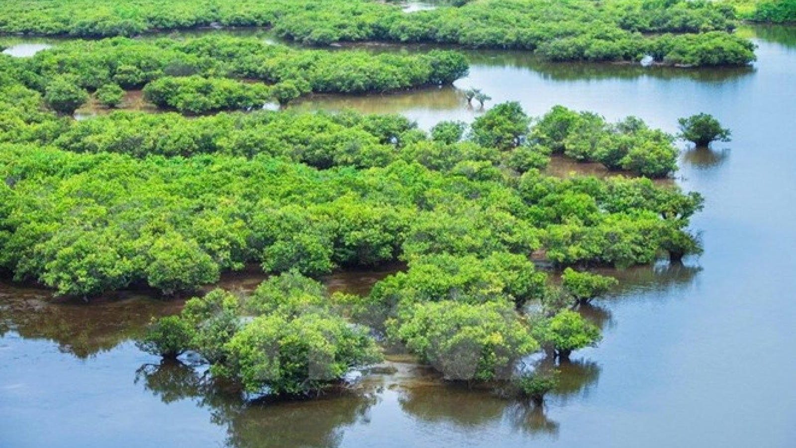 Ramsar sites - “Home” to rare marine species
