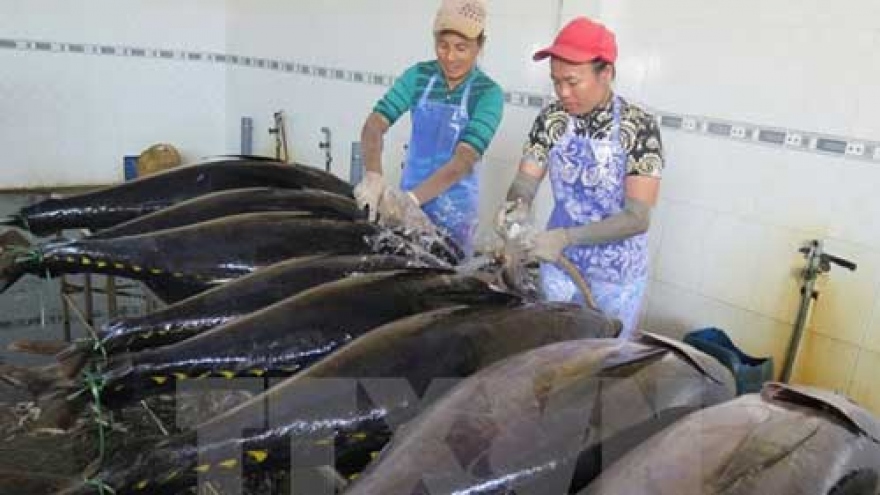 
        Tuna exports to Canada rise 60%
                              